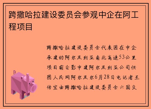 跨撒哈拉建设委员会参观中企在阿工程项目